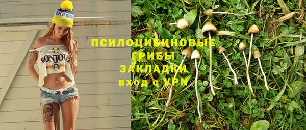 ешки Белокуриха