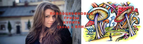 ешки Белокуриха